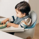 High Chair Cushion