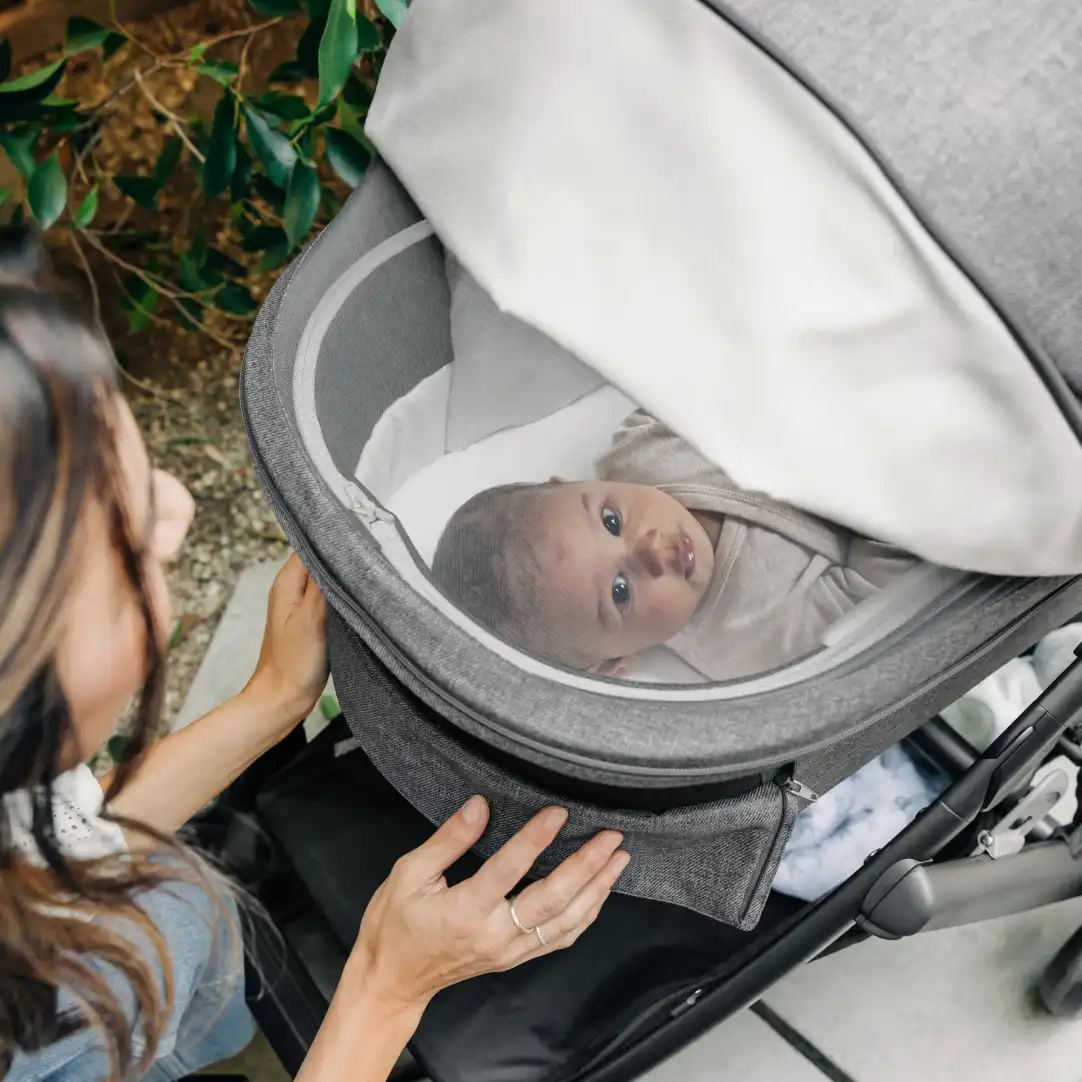 20240702_VistaV3_TrendingNow_2_carrycot