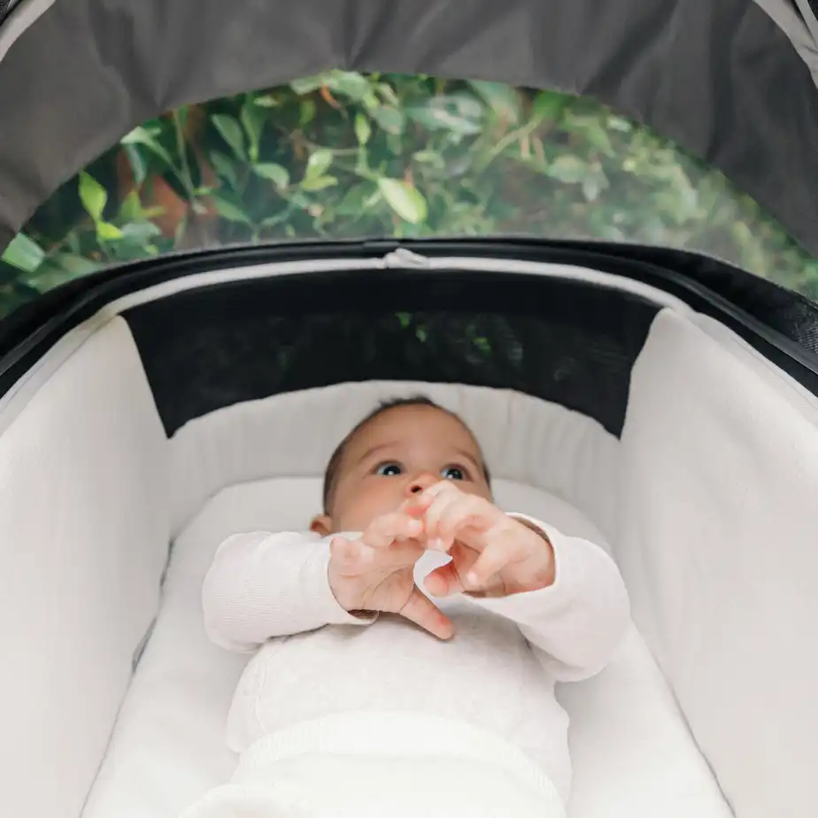 240524_VistaV3_PDP_NewSite_carrycot (1)